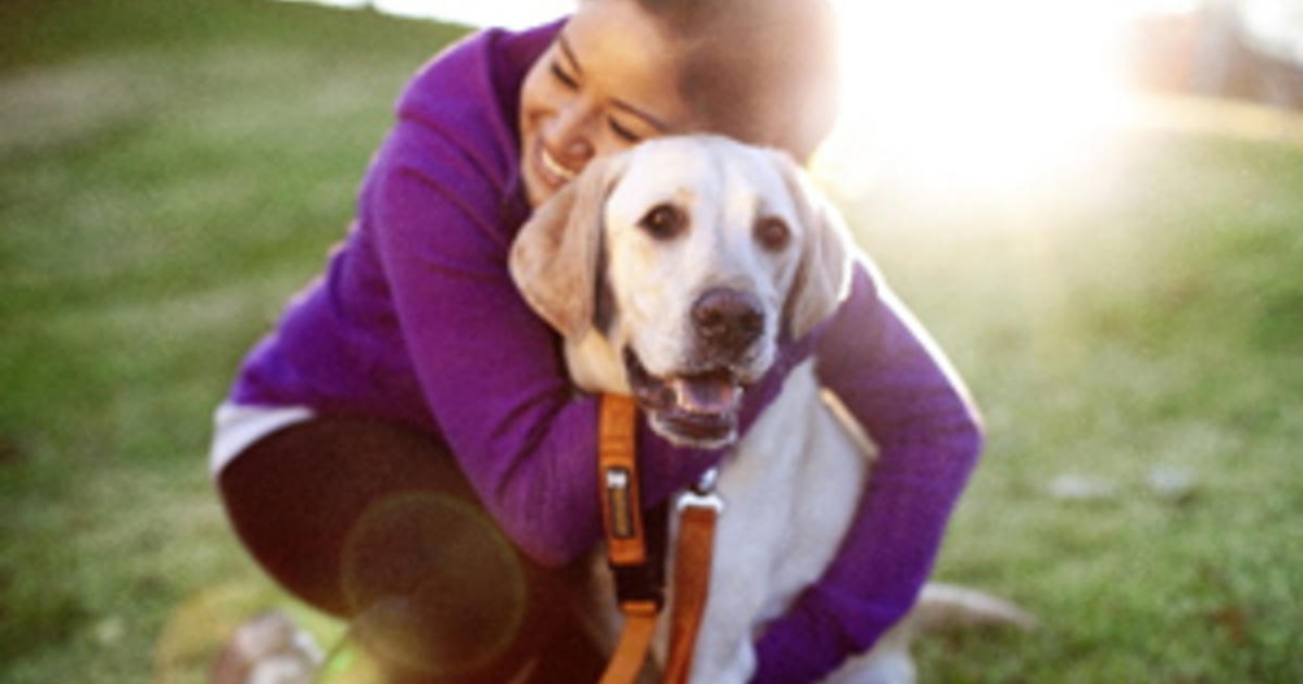 Dogs as Stress-Relievers for Students