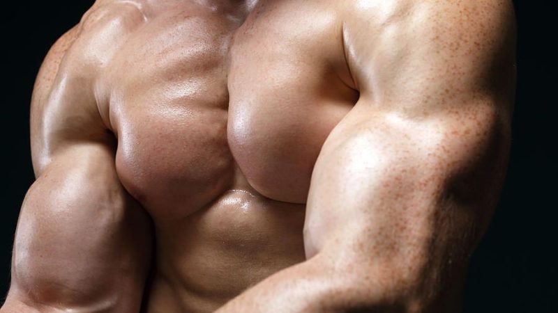 Positive Effects of Steroids in The Body 