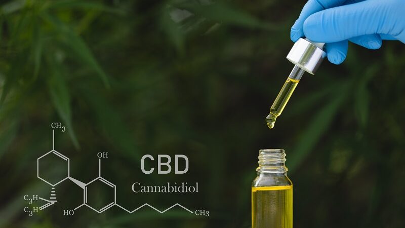 Who Should Avoid Taking CBD 