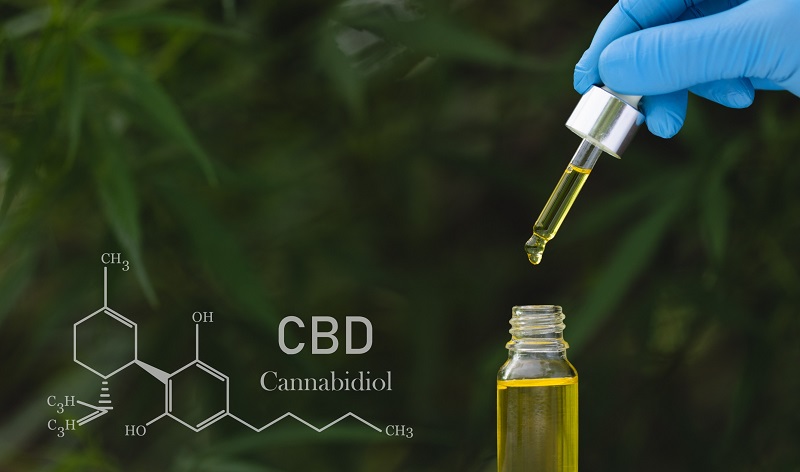 Who Should Avoid Taking CBD 