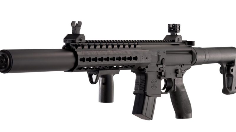 Hit the Mark: Top Air Rifles and Sig Sauer Scopes