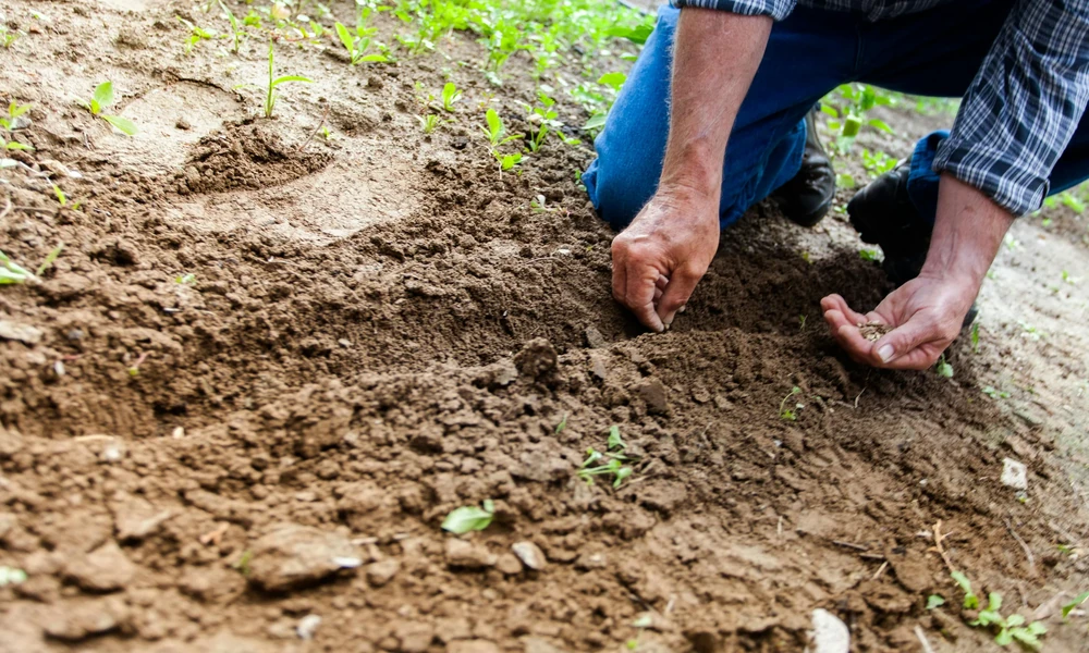 6 Mistakes Homeowners Make When Buying Mulch in Bulk in Pennsylvania